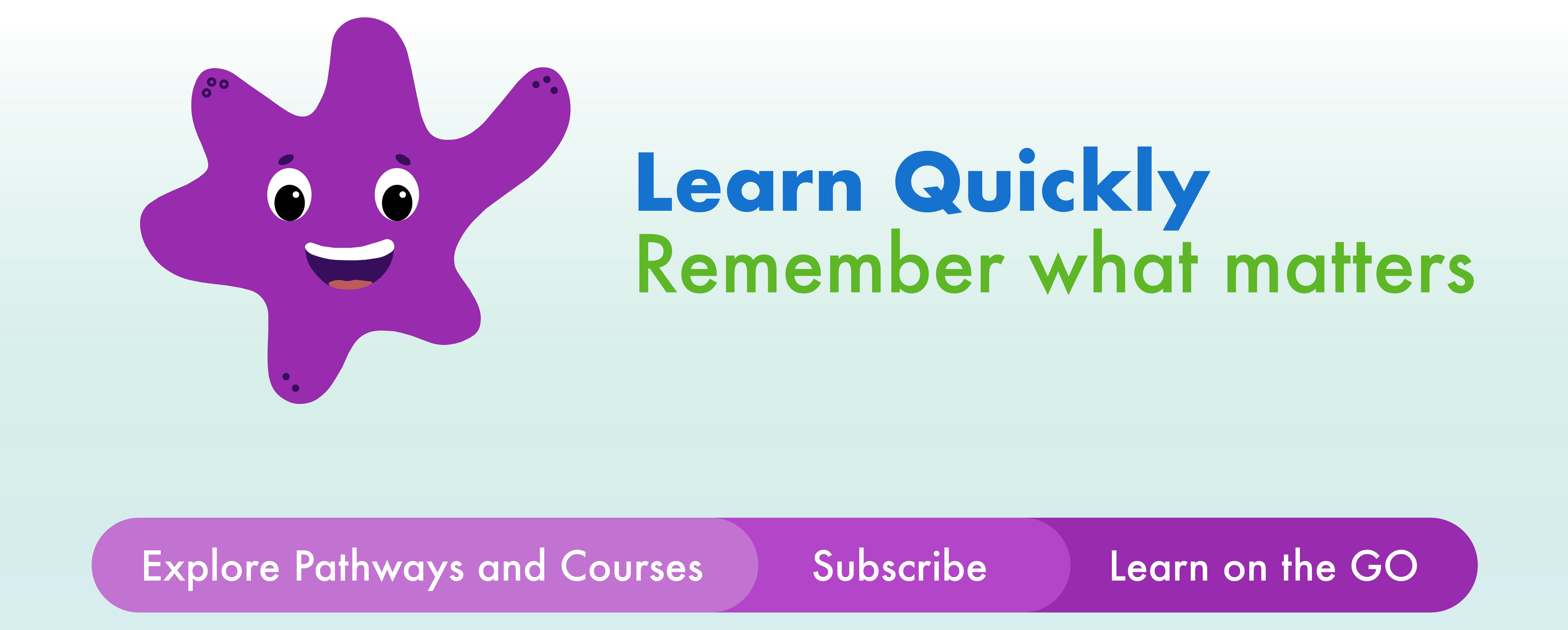 All Products - Explore our collection of courses and learning bundles